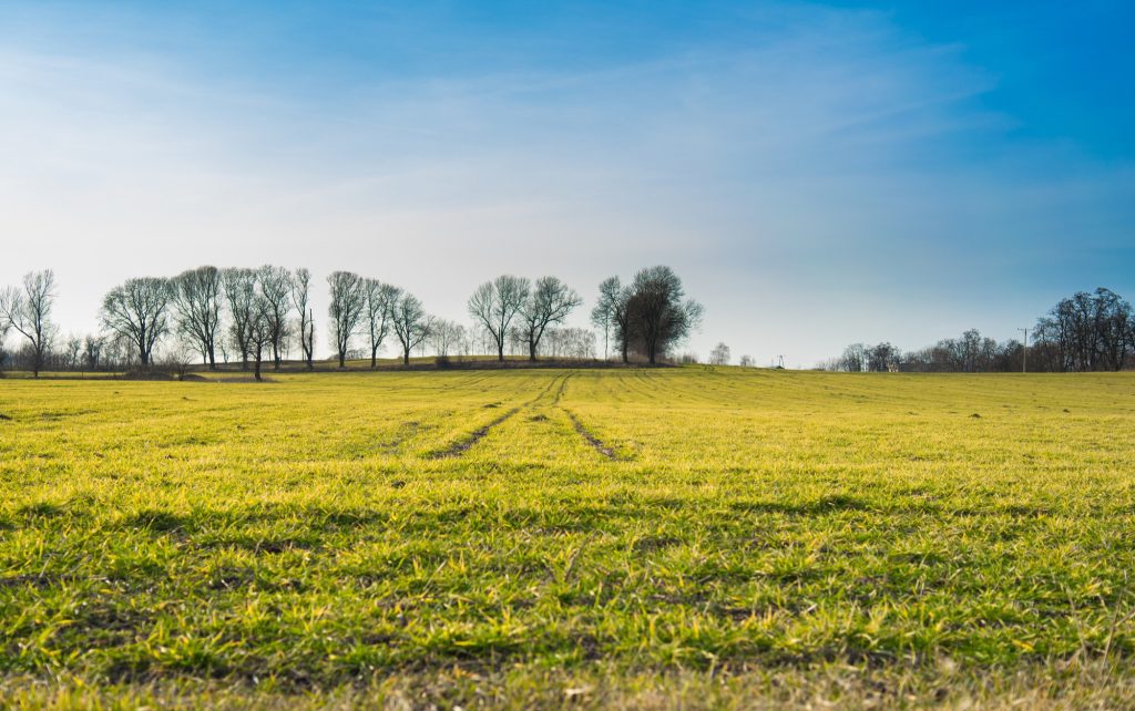 terrain à bâtir