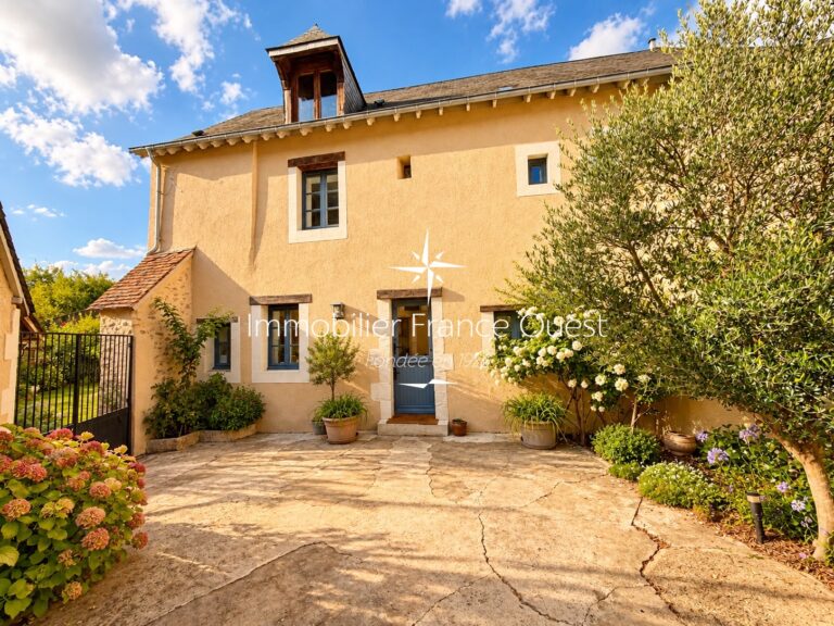 Cour provençal baigné de soleil